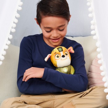 PAW Patrol Aqua Pups, Dierenknuffel van 20 cm, stijlen kunnen variëren PAW Patrol Aqua Pups, Dierenknuffel van 20 cm, stijlen kunnen variëren